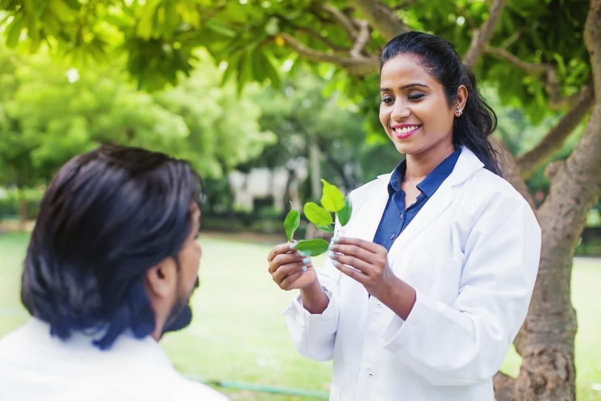 Servicios Ayurveda y Medicina Integrativa