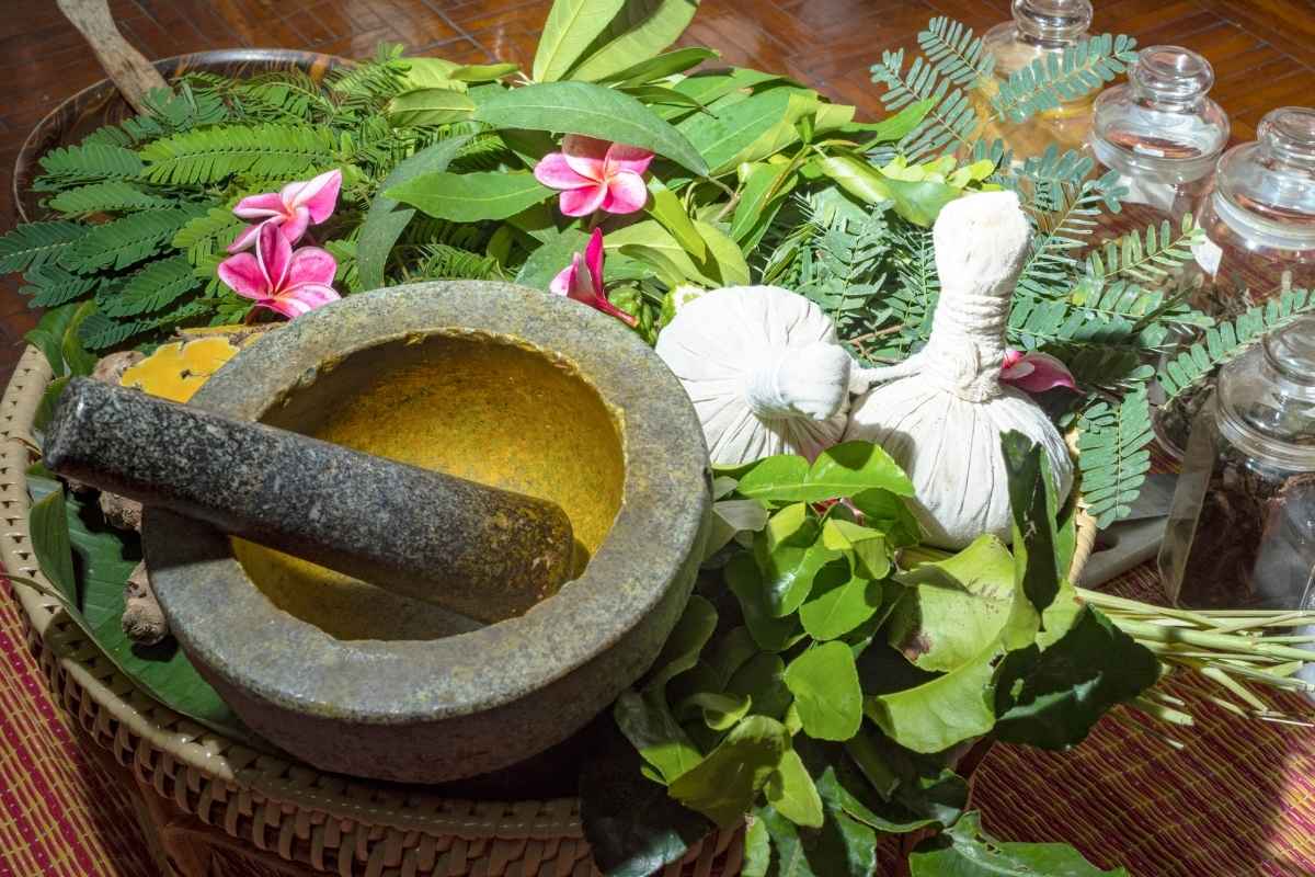 Ayurveda and Integrative Medicine Consultation, Consulta Ayurveda